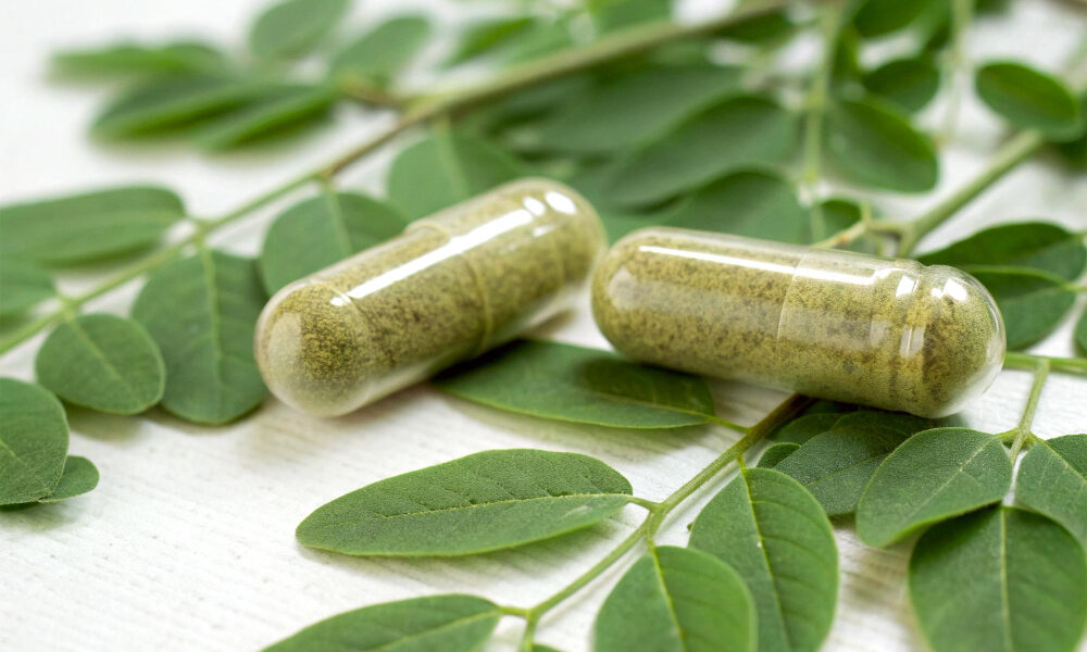 Moringa: la planta que transforma tu energía en superpoderes diarios